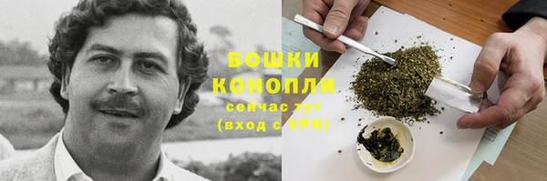 соль ск Бронницы