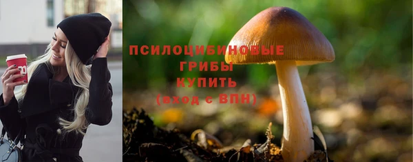 спайс Бабаево