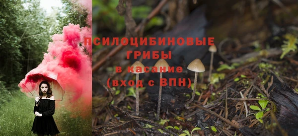 соль ск Бронницы