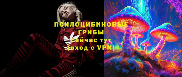 амф Верея