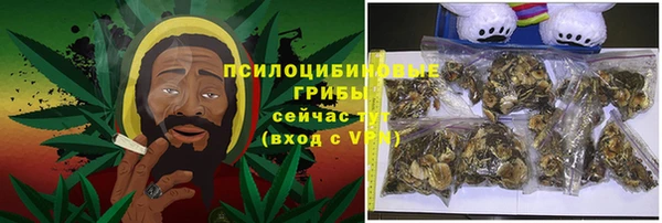 амф Верея