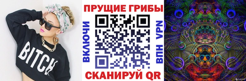 хочу наркоту  Горно-Алтайск  Галлюциногенные грибы Psilocybine cubensis 